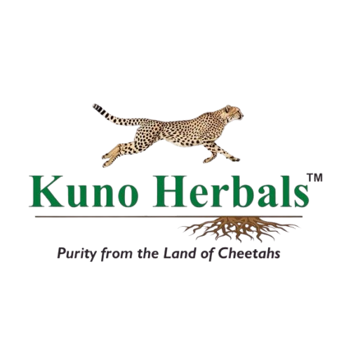 whatsapp image 2026 02 16 at 8.19.09 pm removebg preview